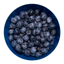 02._Frutas arandanos