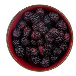 02._Frutas mora
